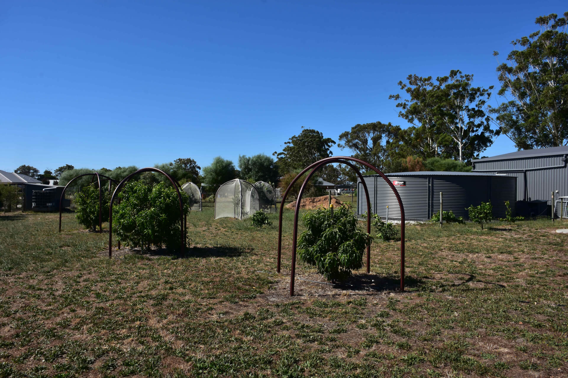 Households in action Busselton Water